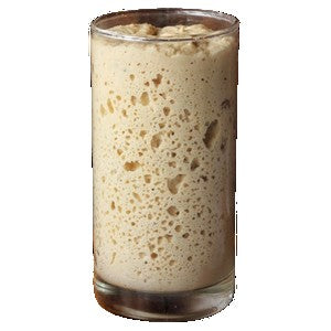 Sourdough Starter Culture Basics
