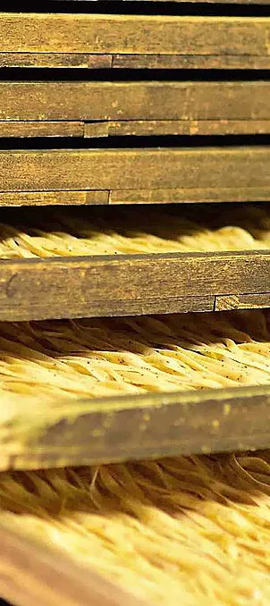 Organic pasta drying