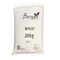 20kg of Organic Hard Wheat Grain for home millers to make bread