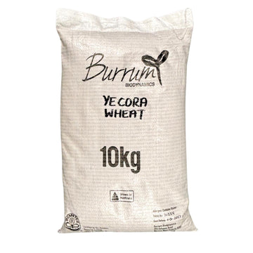 Wheat Grain Yecora Biodynamic 10kg