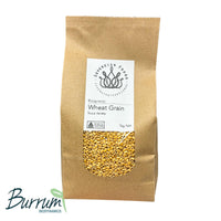 A bag of organic wheat grain for milling into flour or sprouting for wheat grass. This wheat was grown by Burrum Biodynamics and sold by Sovereign Foods.