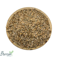 Australian grown organic rye grain. Biodynamically grown by Burrum Biodynamics and sold by Sovereign Foods. Sovereign Foods is a supplier of exclusively Australian grown grain and flour