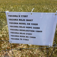 sign on the paddock growing the organic hard red wheat grain population mix.