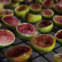 An Australian grown organic fig being dehydrated in Rosnay's solar powered drying room.