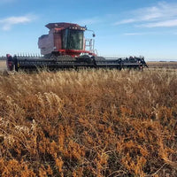 Lentils Red Whole Biodynamic 750g-Pulse & Grain-Burrum Biodynamics-Sovereign Foods-Lentils-Australian Grown-Organic-Bulk