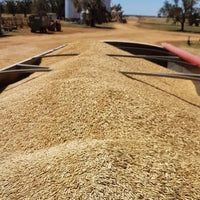 Rolled Oats Creamy Biodynamic 800g Burrum Biodynamics Pulse & Grain.