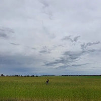 Rye Grain Biodynamic 1kg-Pulse & Grain-Burrum Biodynamics-Sovereign Foods-Organic-Biodynamic-Grain-Home Milling-Australian Grown