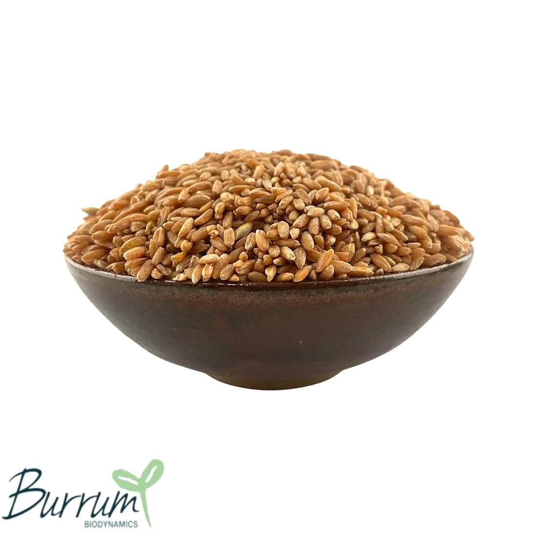 Spelt Grain Biodynamic 5kg Burrum Biodynamics Pulse & Grain.