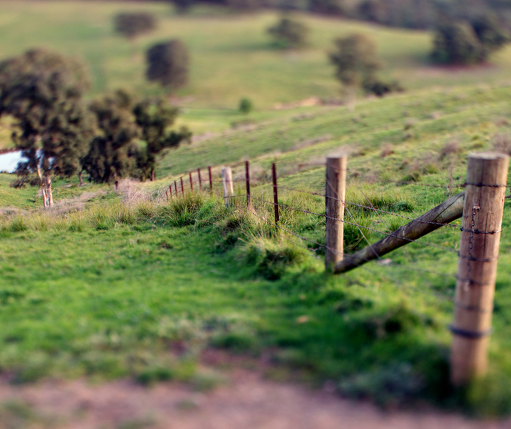 Australian farm