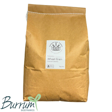 Wheat Grain Hotscotch Landrace Biodynamic 5kg