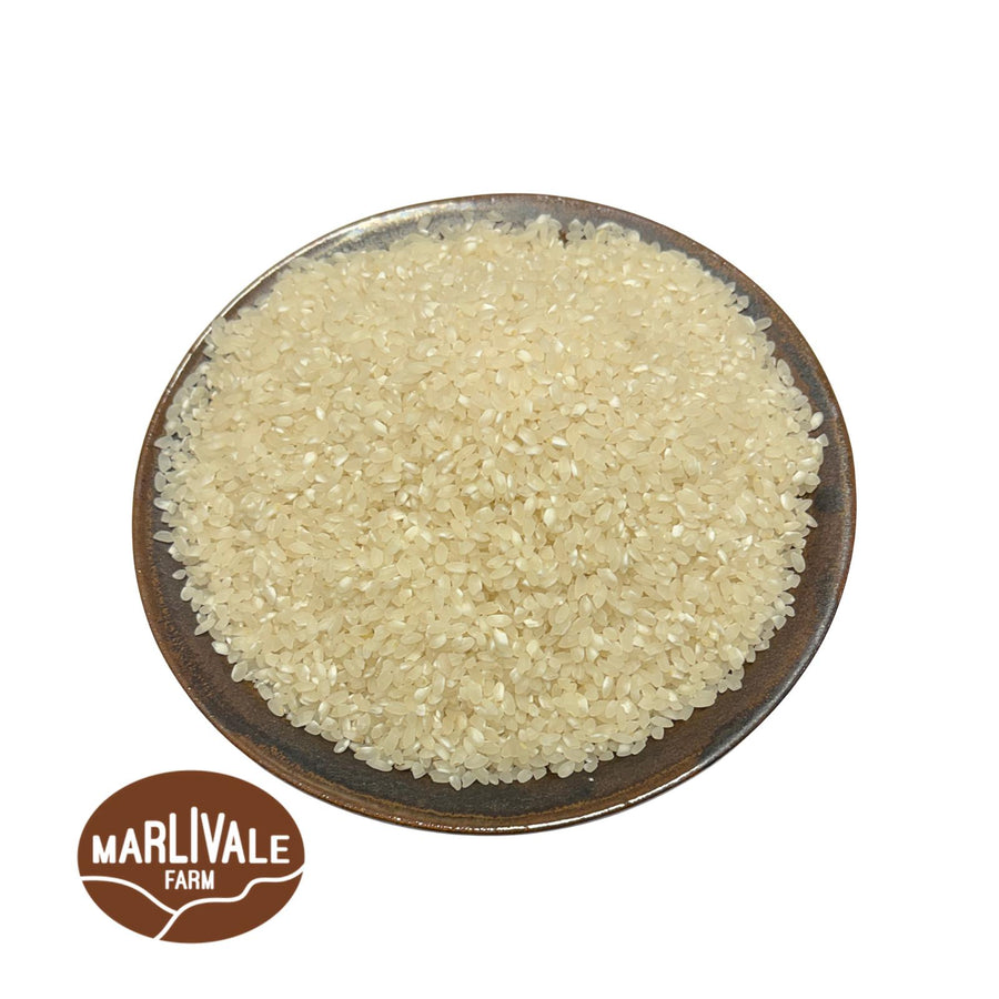 A bowl of Australian grown rainfed white rice. Produced in the Nimbin Valley by Marlivale farm and sold by Sovereign Foods