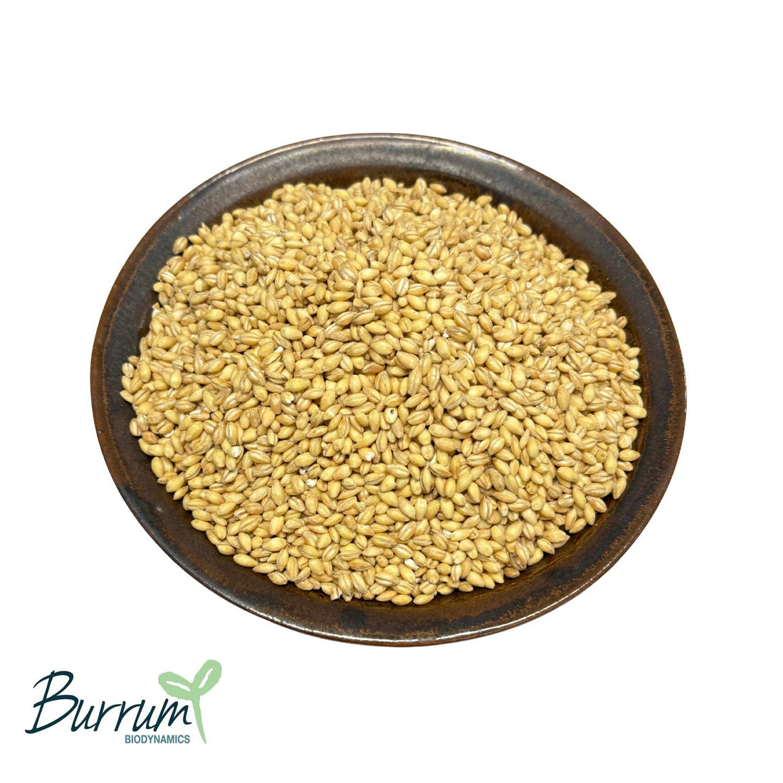 A bowl of organic pearled barley. Grown by Burrum Biodynamics. 