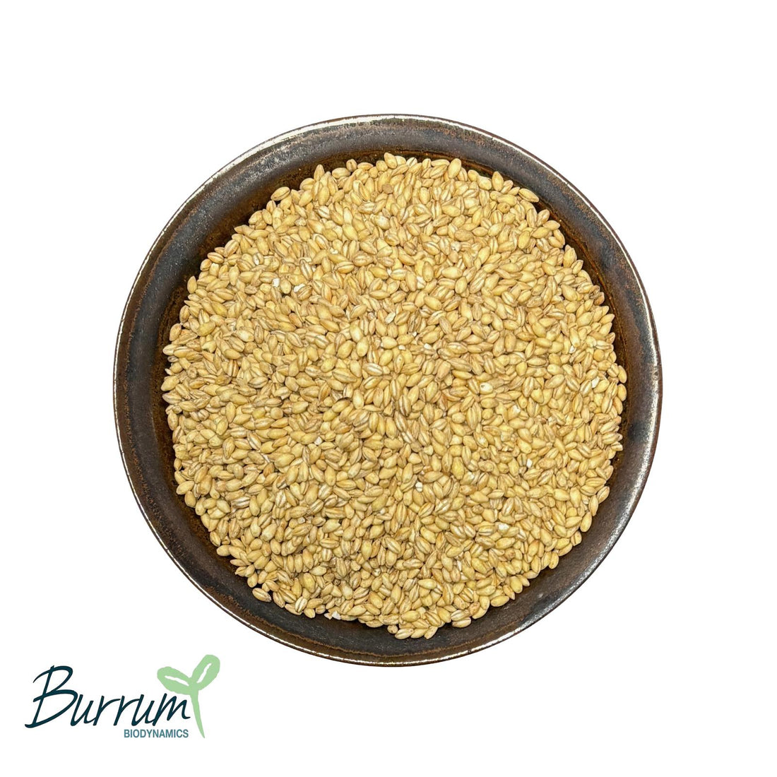 A bowl of organic pearled barley. Grown by Burrum Biodynamics. 