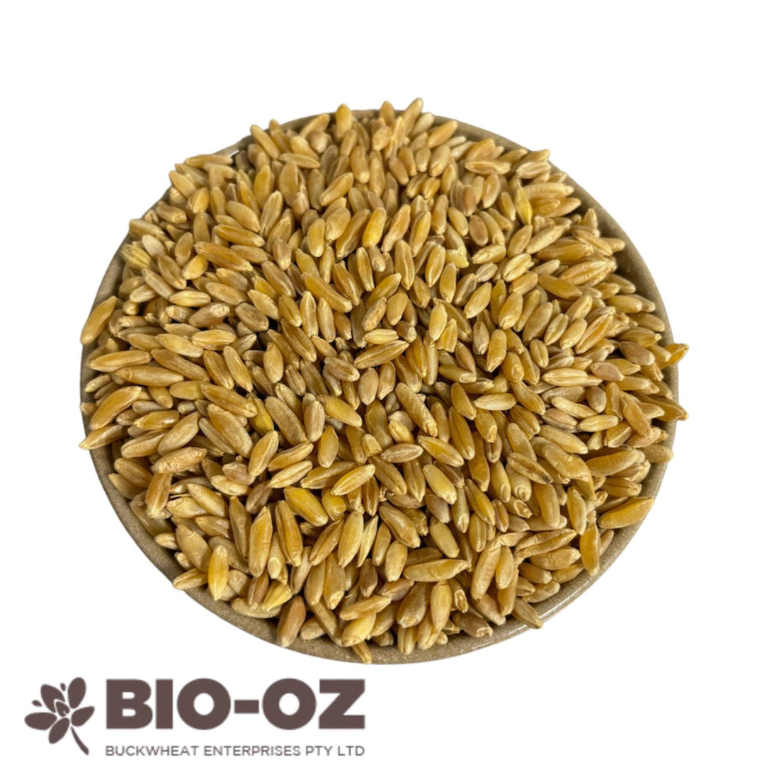 Khorasan Grain Chemical Free 5kg - Sovereign Foods