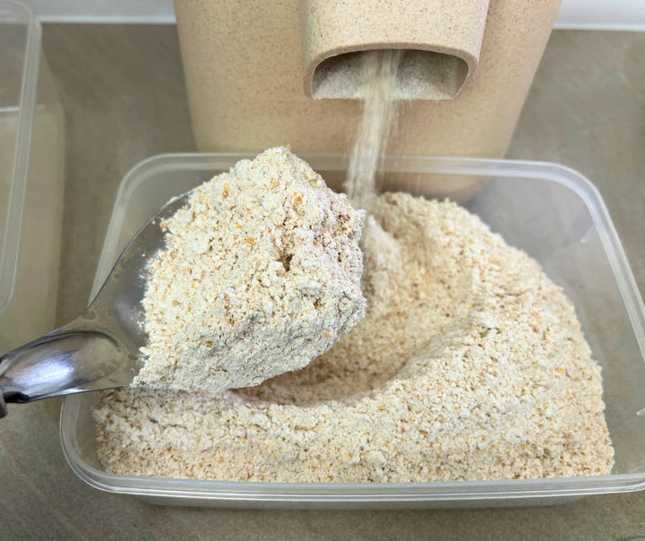 Organic Purple Straw Wheat grain being milled for homemade scones.  Purple straw is an organic wheat grain perfect for cakes, biscuits and scones