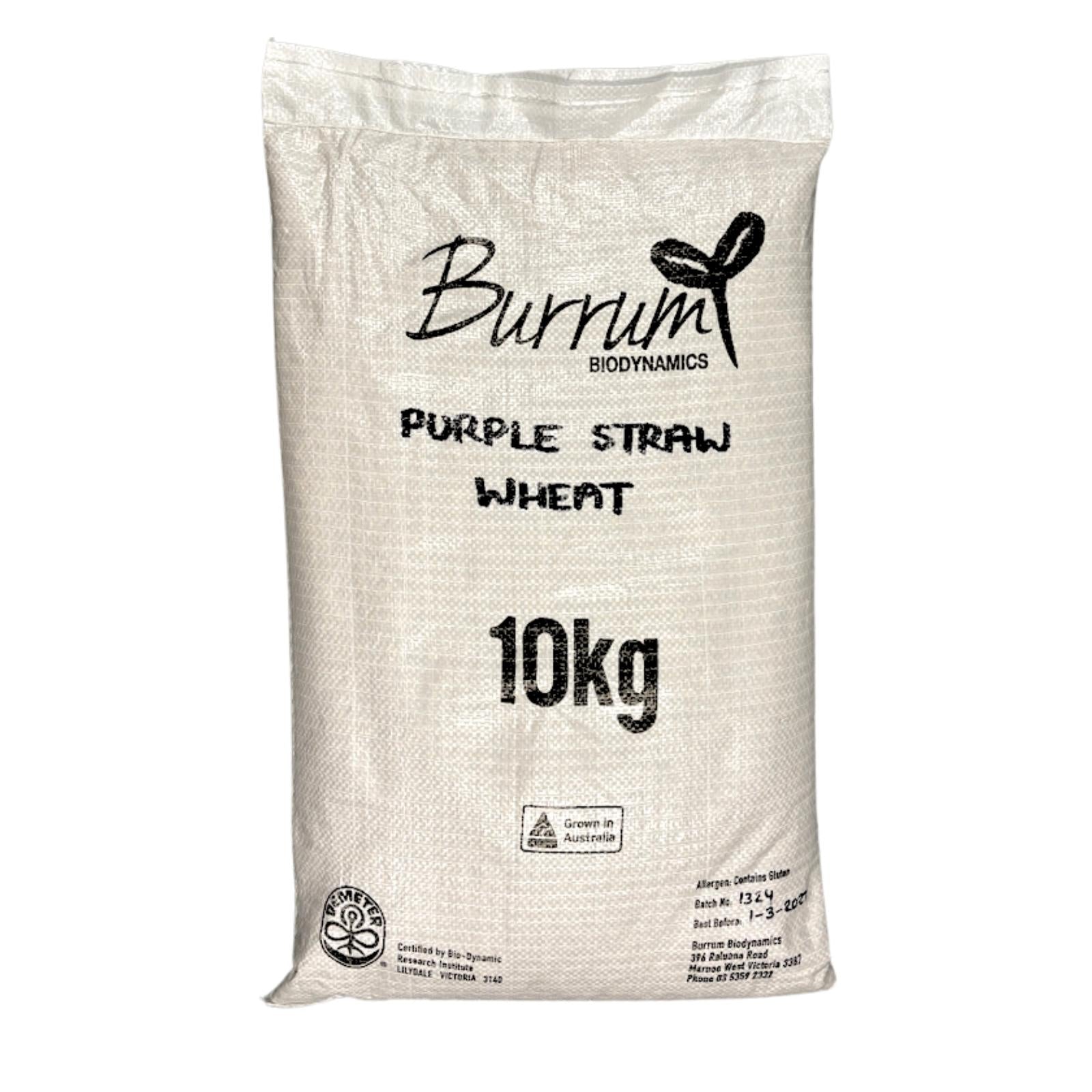 Organic Wheat Grain Purple Straw | Burrum Biodynamics