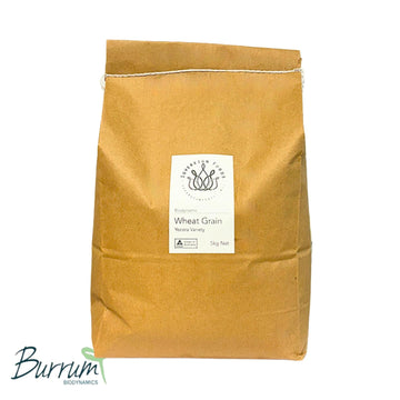 A bag of Australian grown organic hard red wheat. This hard red wheat is perfect for home milling and ideal for your next sourdough loaf