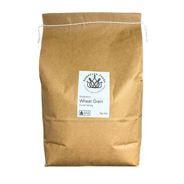 Organic hard wheat grain (aka wheat berries) for home milling. High protein biodynamically grown wheat grain. Great for sourdough bread pizzas and pasta  