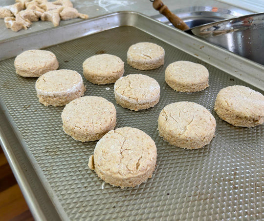 Freshly cut scone dough on baking sheet waiting to go in the oven. This scone dough was made from freshly milled soft wheat using organic purple straw wheat grain from Sovereign Foods. Purple straw is a soft wheat grain that is perfect for cakes, biscuits, cookies and scones