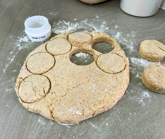 Rolled and cut scone dough made from freshly milled soft wheat grain. Purple straw is a soft wheat grain that is perfect for cakes, biscuits, cookies and scones