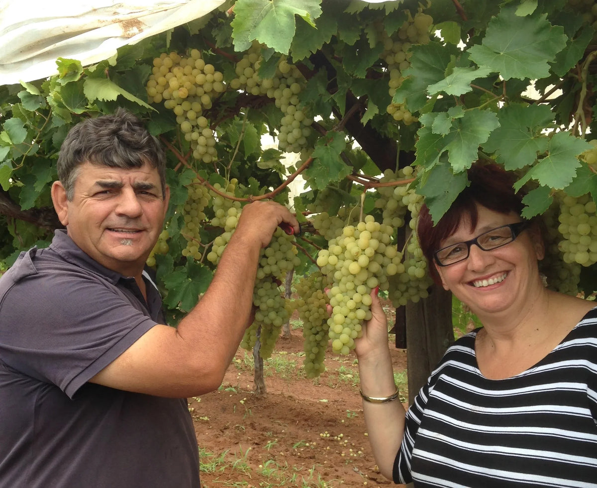 Australian grown organci oil free sultanas and currants by the kamvassis family in mildura at all australian dried fruit

