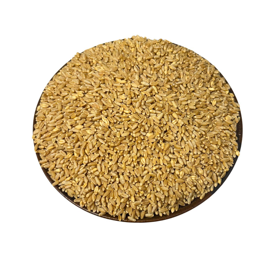 Organic hard wheat grain (aka wheat berries) for home milling. High protein wheat. Great for sourdough bread pizzas and pasta  