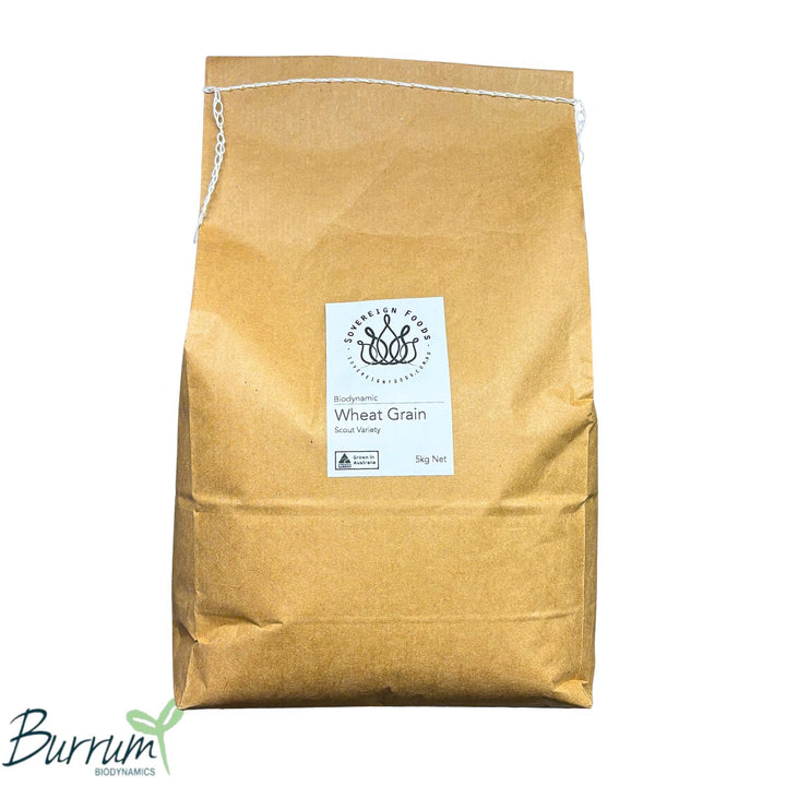Organic white hard wheat grown by Burrum Biodynamics and sold by Sovereign foods. Sovereign Foods is an online supplier of 100% Australian grown staples. 