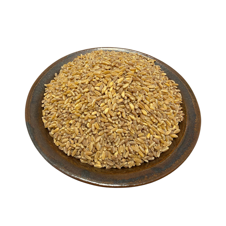 New Organic Hard White Wheat Has Just Arrived!