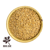 Spelt Grain Chemical Free 5kg