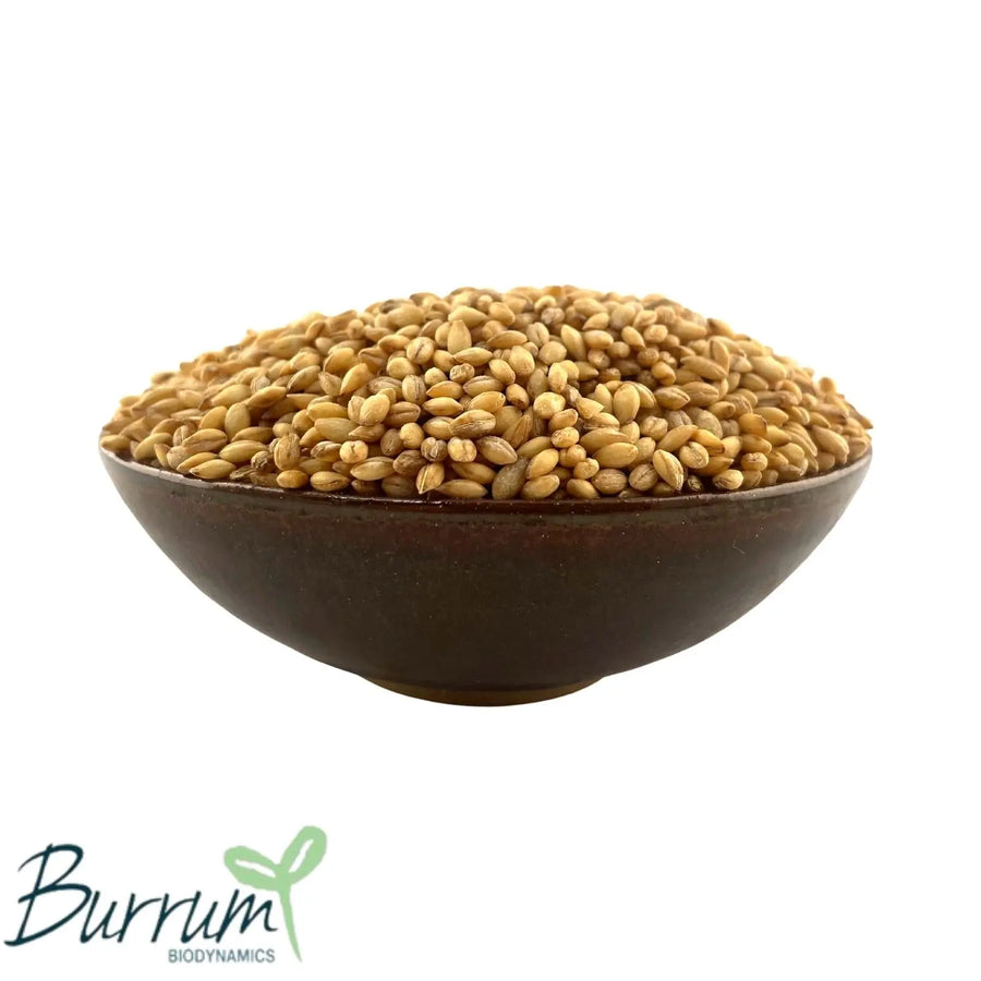 Barley Pearled Biodynamic 20kg Burrum Biodynamics Pulse & Grain.