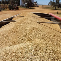 Rolled Oats Creamy Biodynamic 10kg-Pulse & Grain-Burrum Biodynamics-Sovereign Foods-Oats-Bulk-Organic-Australian Grown-