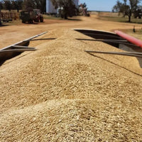 Rolled Oats Quick Biodynamic 10kg-Pulse & Grain-Burrum Biodynamics-Sovereign Foods-Oats-Bulk-Organic-Australian Grown-