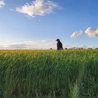 Rye Grain Biodynamic 5kg-Pulse & Grain-Burrum Biodynamics-Sovereign Foods-Organic-Biodynamic-Grain-Home Milling-Australian Grown